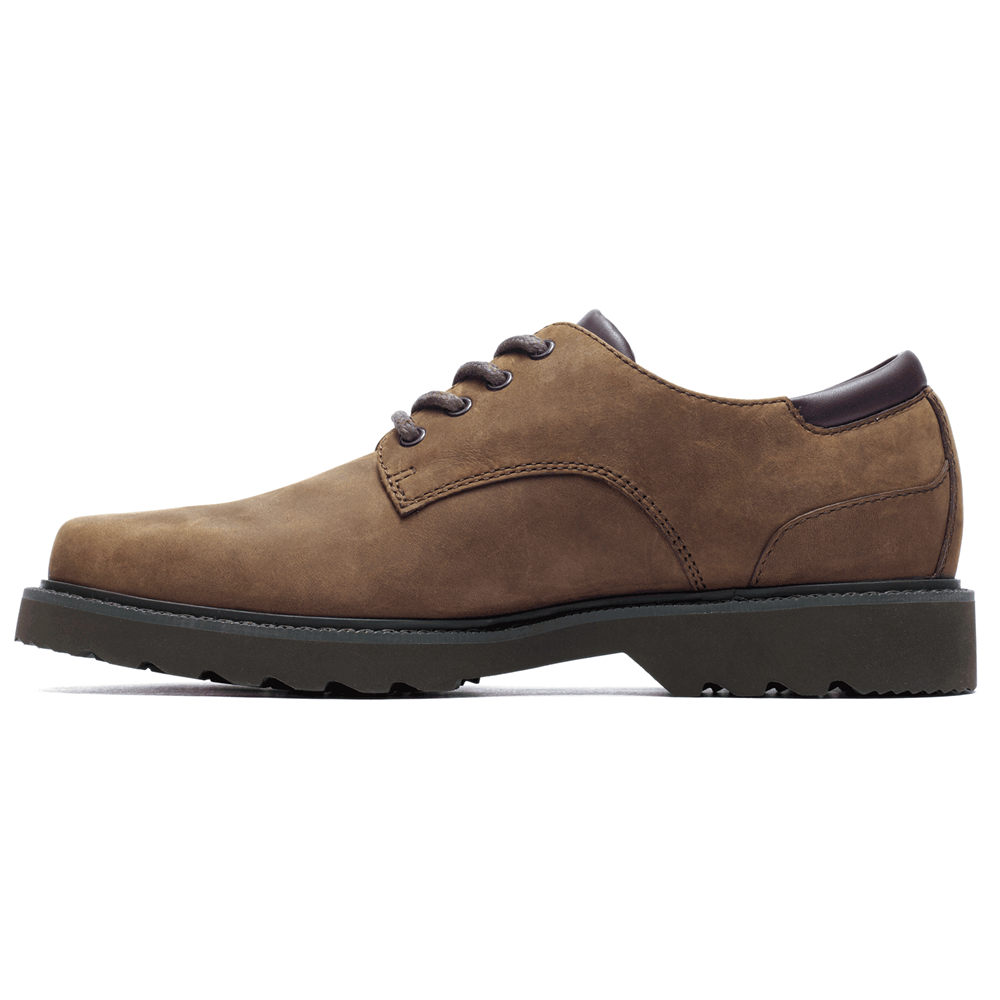 Rockport Oxfords For Mens Dark Brown - Northfield Waterproof - LR0416835